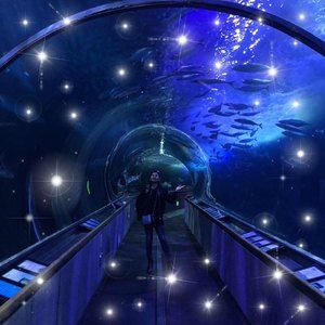 Meet your Posher, Jamie